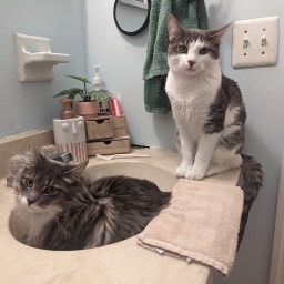 Looking back to look ahead